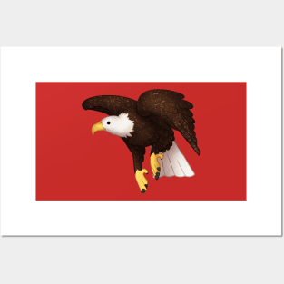 Cozy Bald Eagle Posters and Art